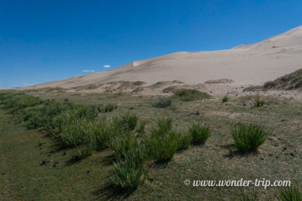 Khongoryn-Els-Mongolie-04