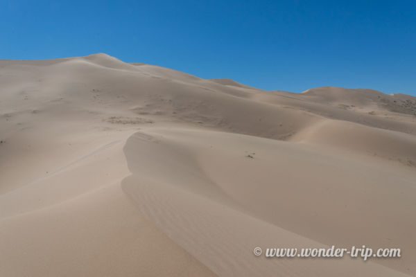 Khongoryn-Els-Mongolie-06