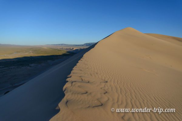 Khongoryn-Els-Mongolie-19