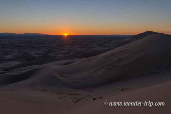 Khongoryn-Els-Mongolie-21