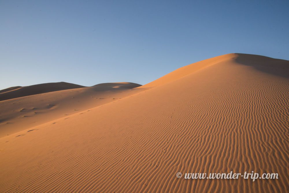 Khongoryn-Els-Mongolie-28