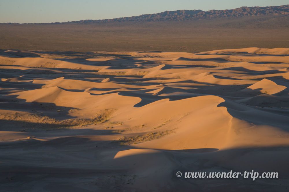 Khongoryn-Els-Mongolie-30