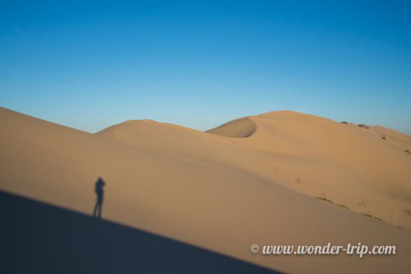 Khongoryn-Els-Mongolie-31