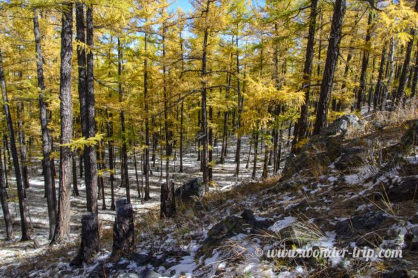 Parc-National-Terelj-06