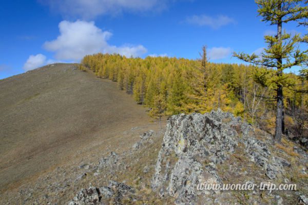 Parc-National-Terelj-07
