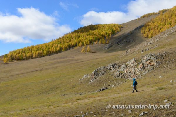 Parc-National-Terelj-10