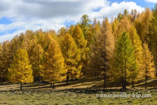 Parc-National-Terelj-12