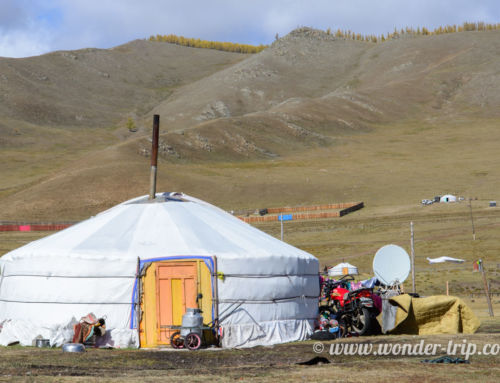 Conseils et informations pratiques pour voyager en Mongolie