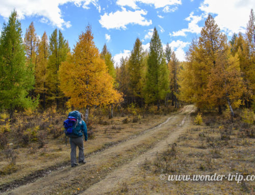 Trek dans le parc national de Terelj