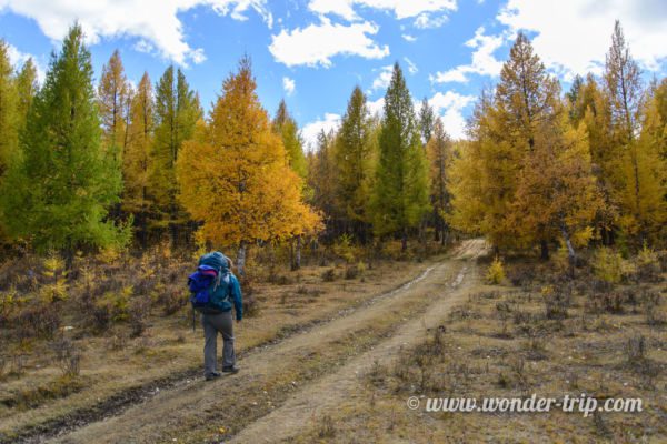 Parc national de Terelj