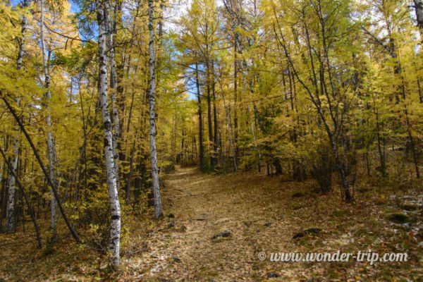 Parc-National-Terelj-25