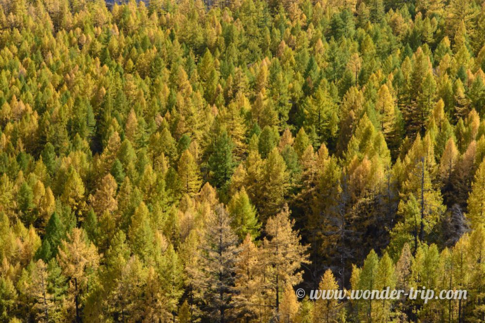 Parc-National-Terelj-26