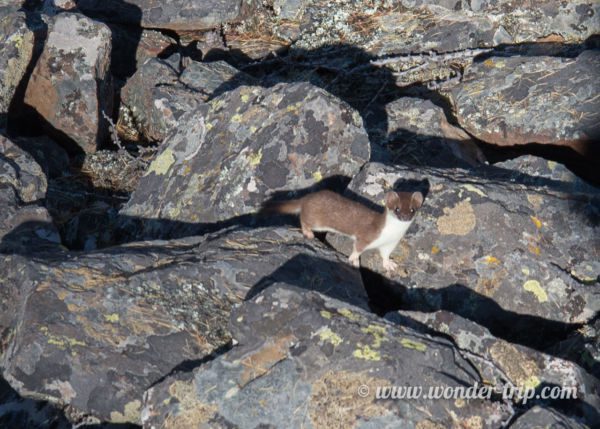 Parc-National-Terelj-30