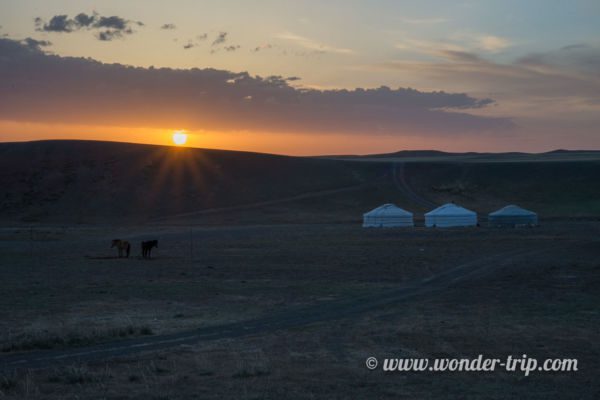 Camp-Yourte-Yolyn-Am-Mongolie-12