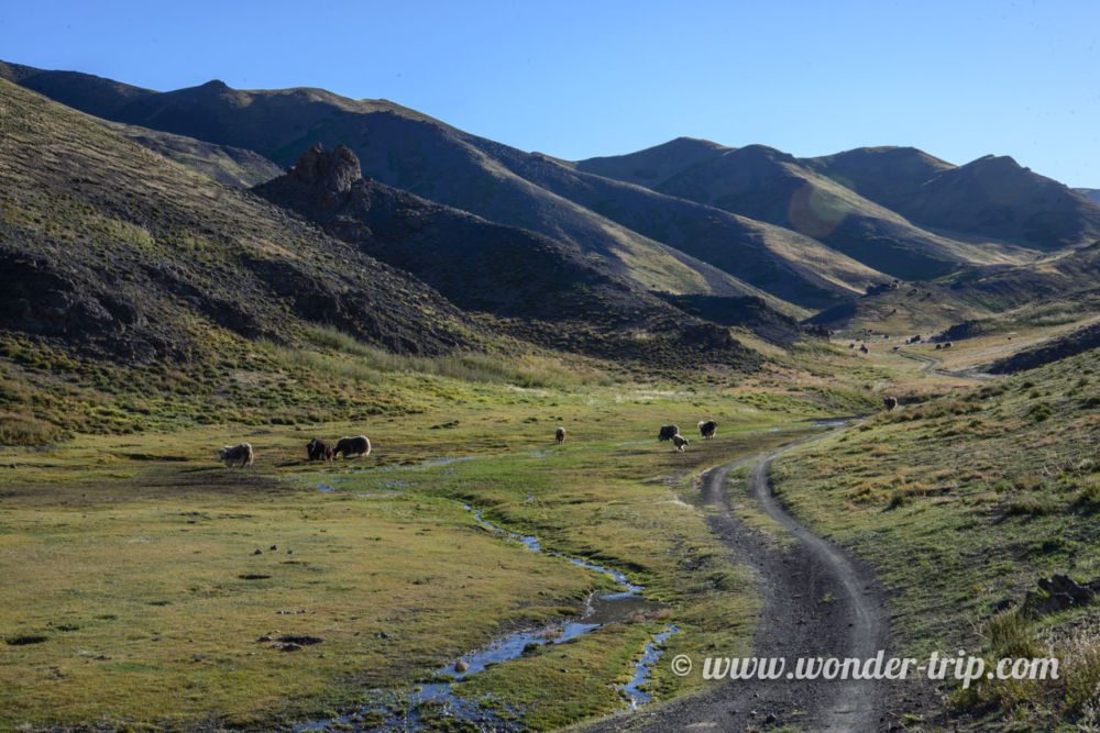 Canyon-Yolyn-Am-Mongolie-15