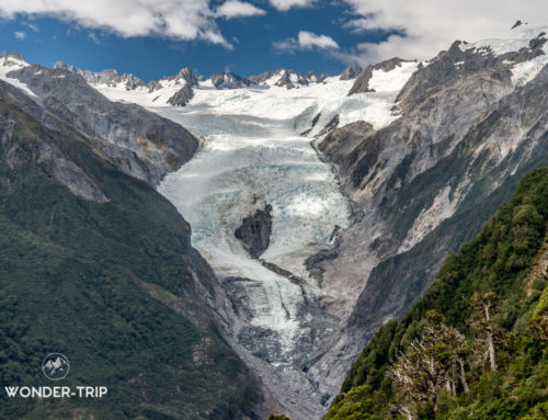 Randonnée Alex Knob – Panorama grandiose sur la vallée du glacier Franz Josef