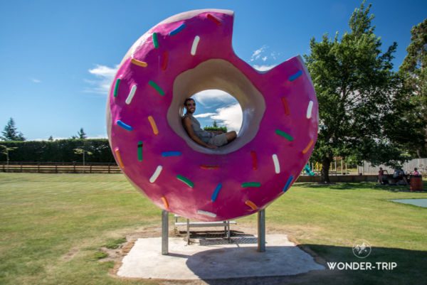 Village de Springfield en chemin pour Arthur's pass