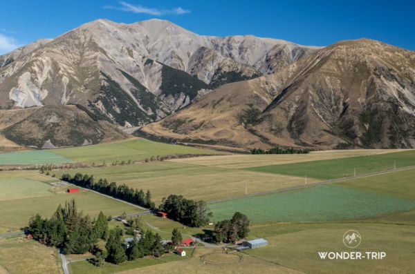 Caste-hill-conservation-area-Arthurs-pass-05