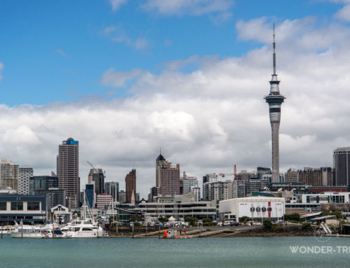 Auckland : quoi faire dans cette ville où il fait bon vivre ?