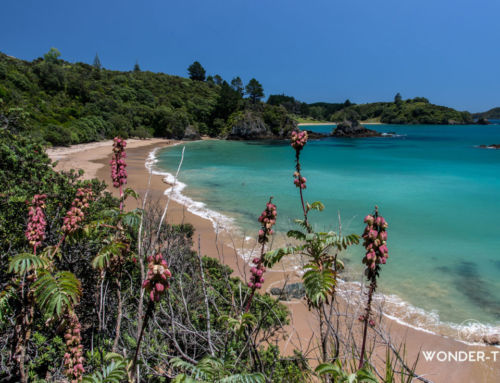 Bay of islands : Guide pour explorer la baie des îles