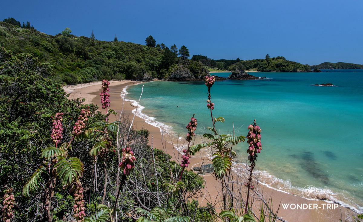 Plage Te ngaere, Northland, Nouvelle-Zélande