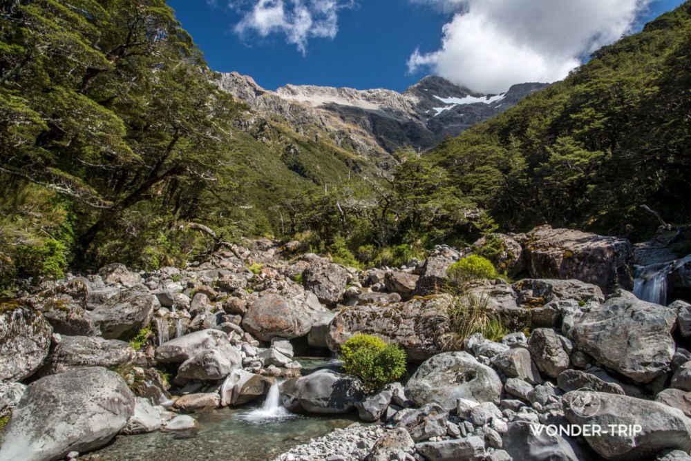Bealey-valley-arthurs-pass-05