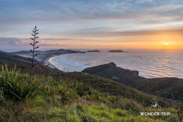 Cap-maria-van-diemen