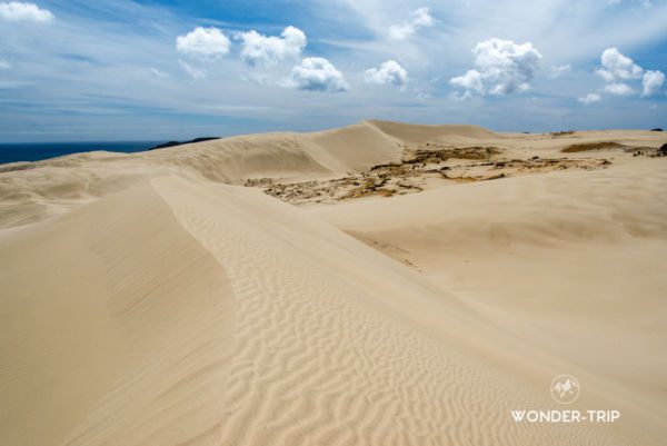 Te-paki-sand-dunes-02