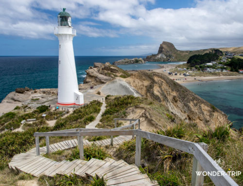 Castlepoint : son phare et son spectaculaire littoral