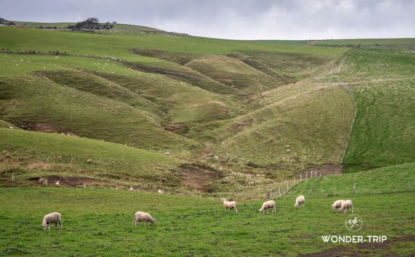 The-Catlins-slope-point-04