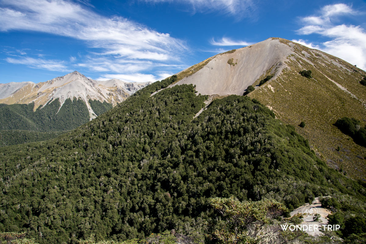 Helicopter Hill - Randonnées Craigieburn forest - Arthur's pass