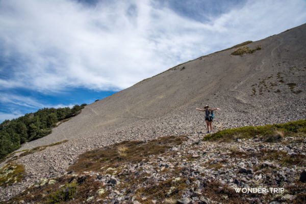 Craigieburn-forest-arthurs-pass-7