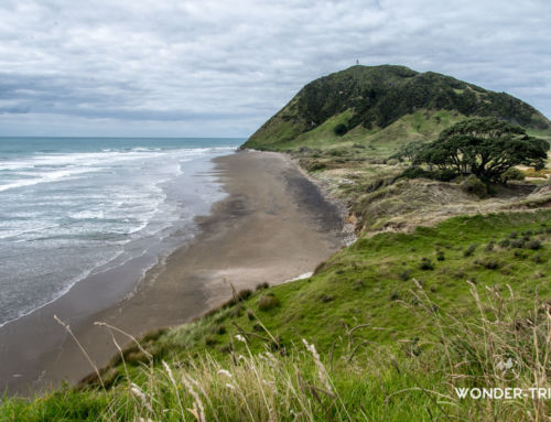 East Cape – Road trip sur la Pacific Coast Highway d’Opotiki à Gisborne