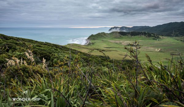 East-cape-new-zeland-02