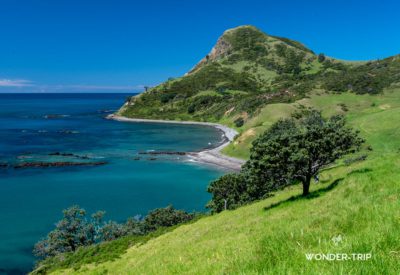 Far north Coromandel - Fletcher bay