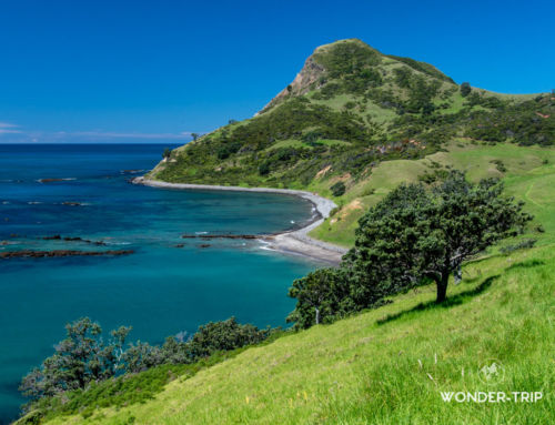 Far North Coromandel : paradis sauvage de la pointe nord du Coromandel