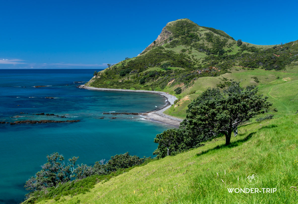 Far north Coromandel - Fletcher bay