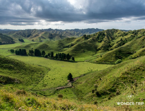 La Forgotten World Highway et sa loufoque république de Whangamomona