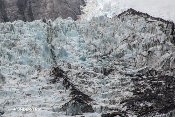 Franz-Josef-Glacier-04