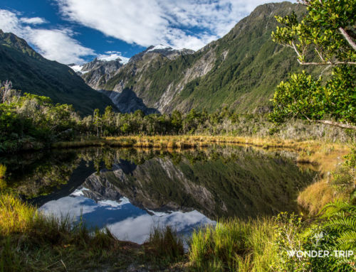 Franz Josef glacier : Les meilleures randonnées et points de vue