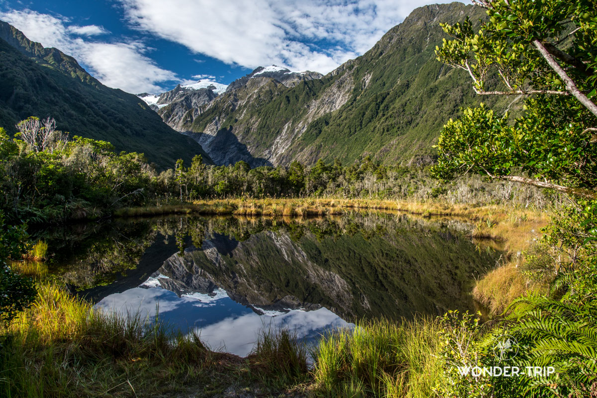 Peter's pool au glacier Franz Josef