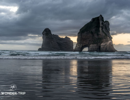 Golden Bay en Nouvelle-Zélande : Guide pour visiter la région