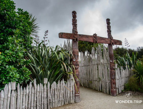 Hamilton Gardens : immersion dans l’histoire des jardins du monde