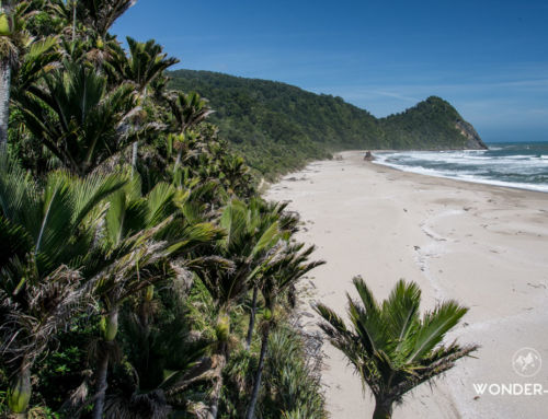 Heaphy Track : randonnée à la journée sur le littoral du parc national de Kahurangi