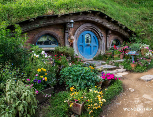 Hobbiton : Village hobbit en Nouvelle-Zélande – Avis et Prix