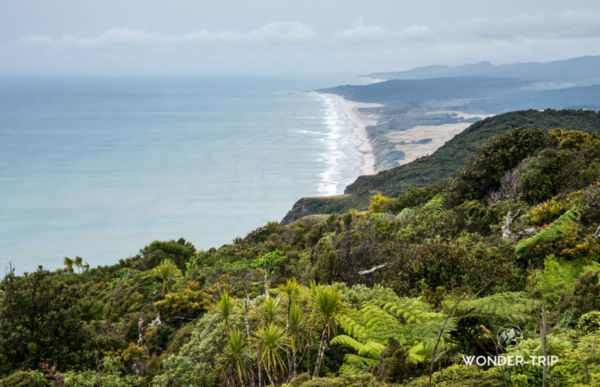Maunganui-bluff-kauri-coast-northland-nouvelle-zelande-02