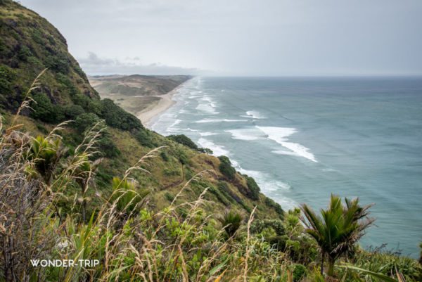 Maunganui-bluff-kauri-coast-northland-nouvelle-zelande-03