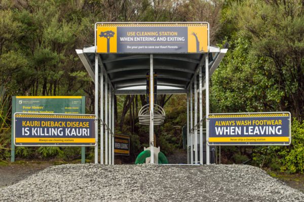 Station de lavage pour la maladie du Kauri dieback