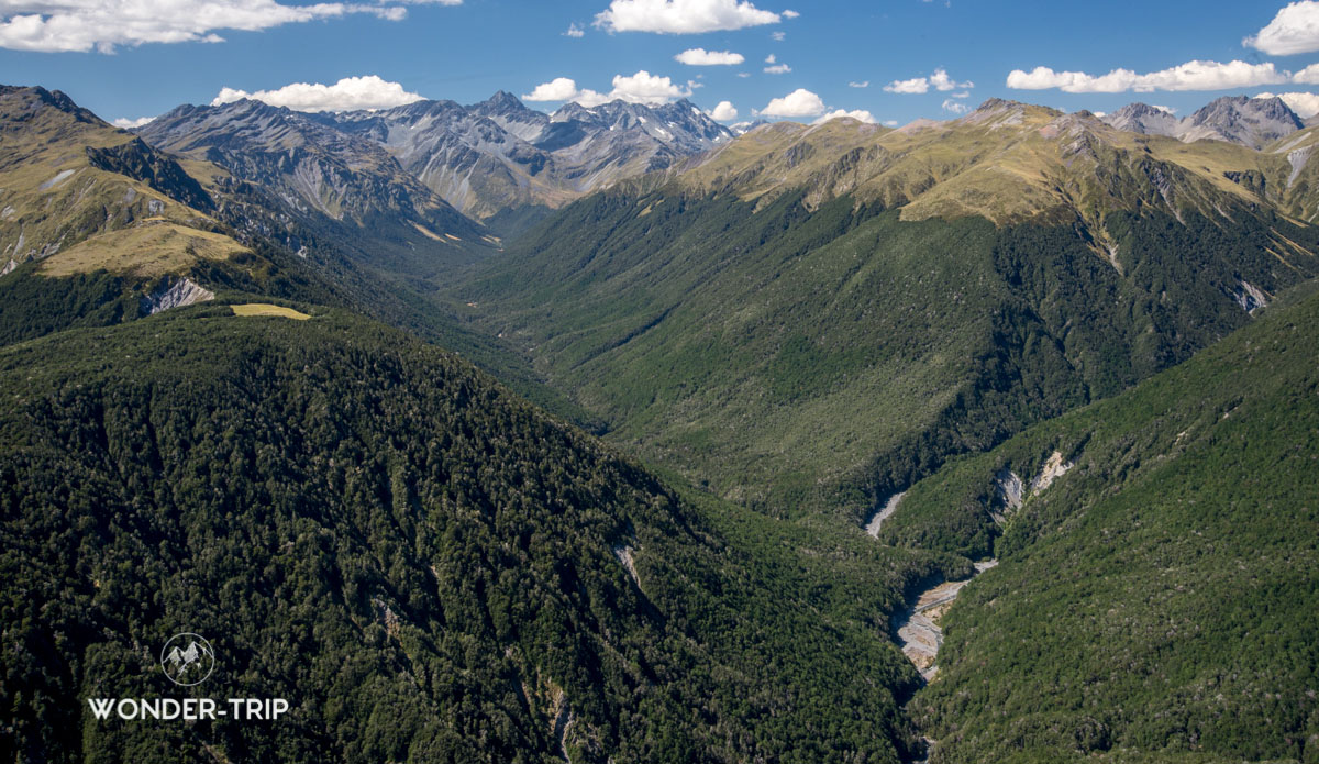 Lewis Pass randonnées - Lewis Tops Track