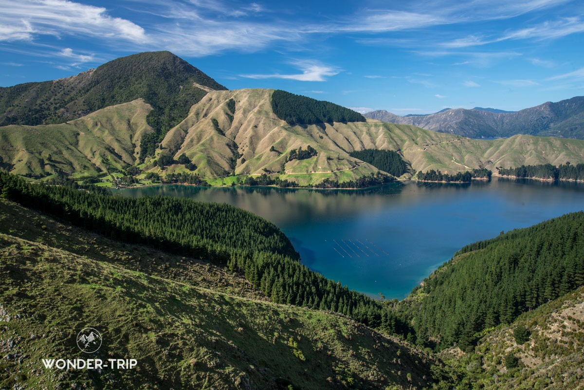 Marlborough Sounds - French pass